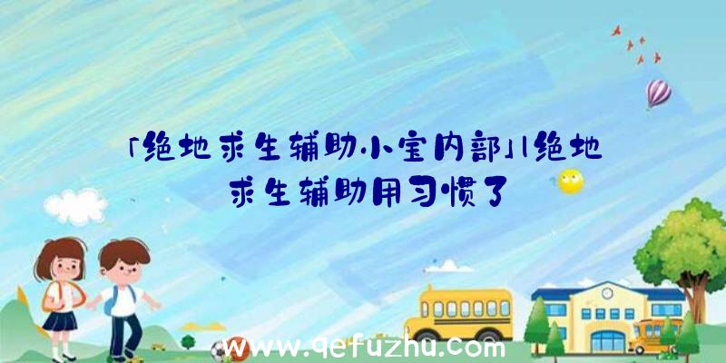 「绝地求生辅助小宝内部」|绝地求生辅助用习惯了